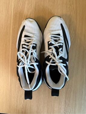 Nike Giannis Immortality 3 basketball shoes in a white and black size 8